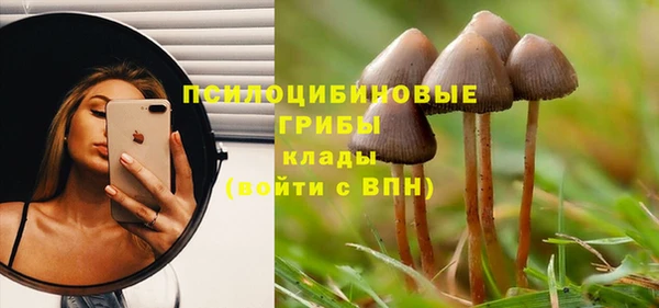 mdpv Навашино