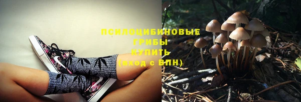 хмурый Наволоки