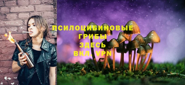 ПСИЛОЦИБИНОВЫЕ ГРИБЫ Надым
